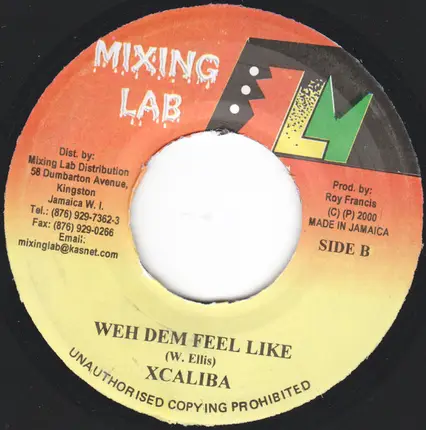 Harry Toddler / Xkaliba - Modeling / Weh Dem Feel Like