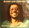 12inch Vinyl Single - Harry And Friends - Bushman