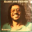 12inch Vinyl Single - Harry And Friends - Bushman