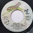 7inch Vinyl Single - Harry Chapin - Sunday Morning Sunshine / Burning Herself
