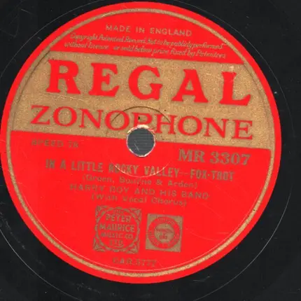 Harry Roy and his Band - You gorgeous dancing doll / In a little rocky valley