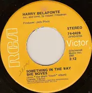 Harry Belafonte - Something In The Way She Moves