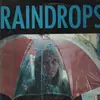 LP - Harry Bollback - Raindrops