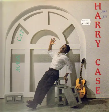 Harry Cat - Magic Cat