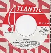 Harry Deal And The Galaxies