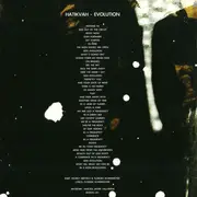 12inch Vinyl Single - Hatikvah - Evolution