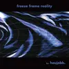 Double LP - haujobb - Freeze Frame Reality (grey Vinyl) - GREY VINYL