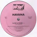 12inch Vinyl Single - Havana - Satisfy My Desire