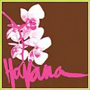 12inch Vinyl Single - Havana - Shine / Tangled