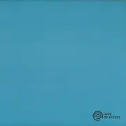 12inch Vinyl Single - Havantepe - Robo Owl EP