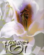 Hawke - Erections From Namaquadisco Volume 2