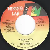 Hawkeye - What A Pity