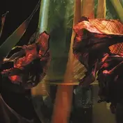 Subsound Records / Cargo