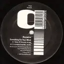 12inch Vinyl Single - Haywire - Something For Your Mind