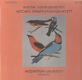 Franz Joseph Haydn - Vogelquartett / Dissonanzenquarett (Mozarteum-Quartett)