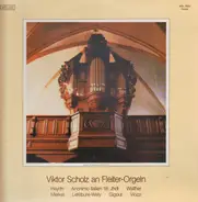 Haydn/Walther/Merkel a.o. - Voiktor Scholz an Fleiter-Orgeln