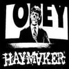 7inch Vinyl Single - Haymaker - Let Them Rot - + download code
