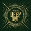LP - HBS - IN DEEP OWL - NEW SOLO PROJECT BY SOUNDGARDEN BASSIST BEN SHEPH