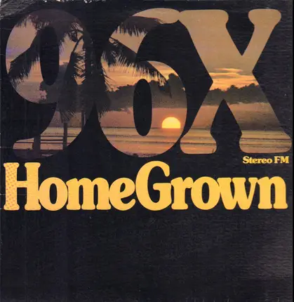 Henry Gross, Rod Stewart, Calhoon a.o. - 96X Stereo FM - HomeGrown