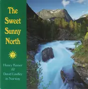 Henry Kaiser - The Sweet Sunny North