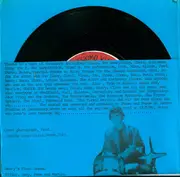 7inch Vinyl Single - Henry's Final Dream - Indian Summer