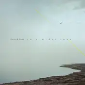 HEATED LAND - In A Wider Tone