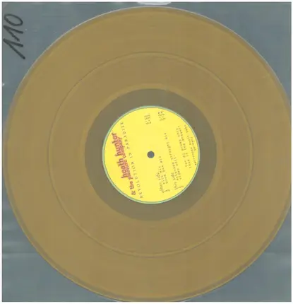 Heath Hunter - Revolution In Paradise