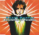 CD Single - Heath Hunter - Revolution In Paradise