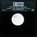 12inch Vinyl Single - Heavy D - Never Did It Before/What Am I Supposed To Do