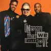 12inch Vinyl Single - Heavy D. & The Boyz - Now That We Found Love