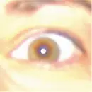 CD - Heavy Duty Felt - For The Time Being