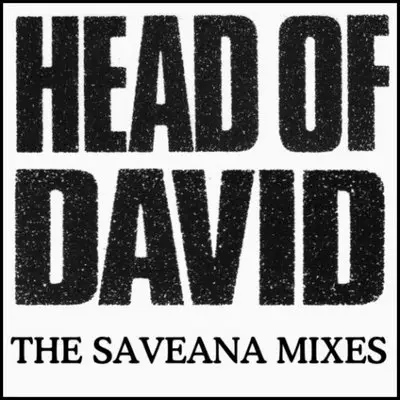 Head Of David - The Saveana Mixes