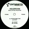 12inch Vinyl Single - Headroom - Regular Beating Noise