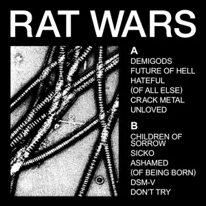 HEALTH - Rat Wars