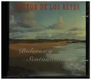 Hector De Los Reyes - Boleros Y Sentimentos...
