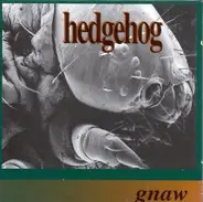 Hedgehog - Gnaw