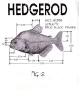 7inch Vinyl Single - Hedgerod - Piranha