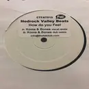 12inch Vinyl Single - Hedrock Valley Beats - How Do You Feel