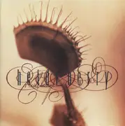 CD - Heidi Berry - Heidi Berry