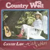 7inch Vinyl Single - Heidi Gehlert - Country Welt