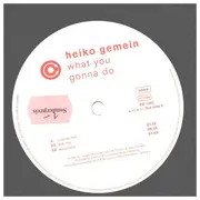 12inch Vinyl Single - Heiko Gemein - What You Gonna Do