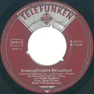 Heimatchor Leitung: Walter H. Bächer , Heinz Werner , Unknown Artist - Riesengebirglers Heimatlied / Schlesierlied