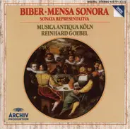 Biber - Mensa Sonora, Sonata Representativa