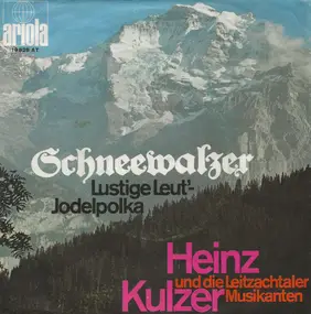 Heinz Kulzer Und Die Leitzachtaler Musikanten - Schneewalzer