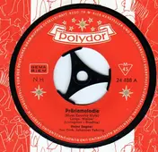 Heinz Sagner - Präriemelodie (Blues Country Style)