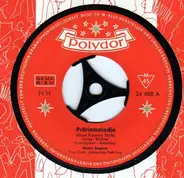 Heinz Sagner - Präriemelodie (Blues Country Style)