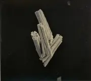 CD - Hejira - Prayer Before Birth