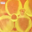 12inch Vinyl Single - Helter Skelter - Consume