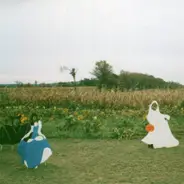Hello Shark - Delicate