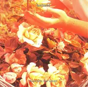 CD Single - Helmet - Biscuits For Smut